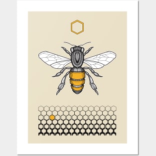 honeycomb and bee Posters and Art